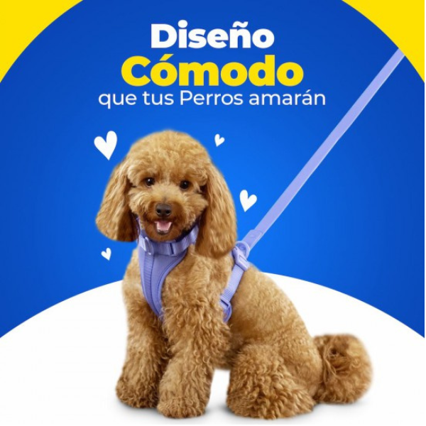 CORREA AZUL OSCURO HOLA PETS 1.67 MTS