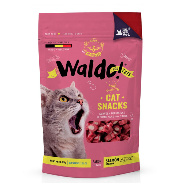 PREMIO WALDO GATO SALMON SEMI HÚMENDO 85G