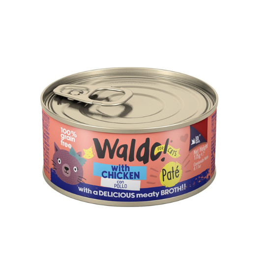 WALDO PARA GATO DE POLLO 175 G