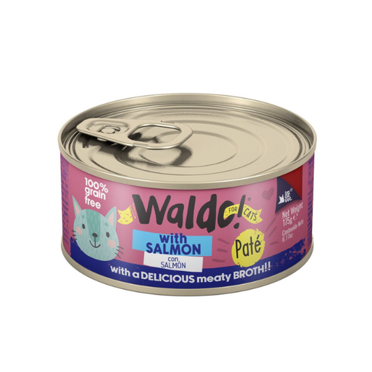WALDO PARA GATO DE SALMON 175 G