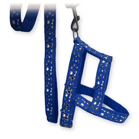 Juego pechera de dibujos #3 con correa #1